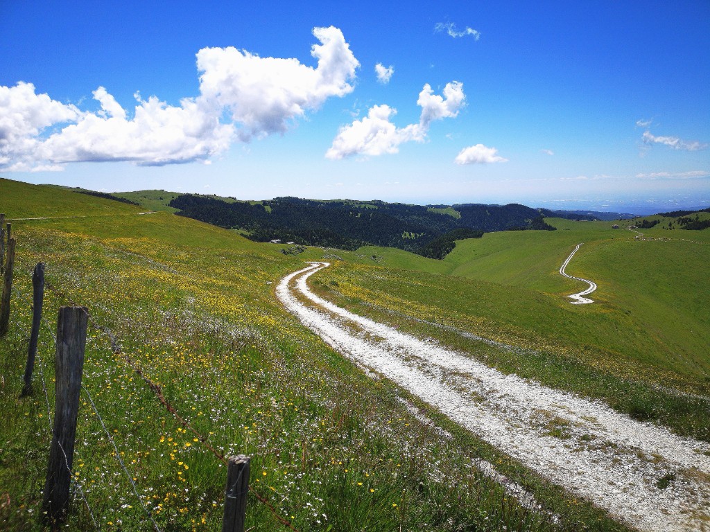 Altipiani erbosi del Parco Naturale Regionale della Lessinia, con sentiero e prati fioriti