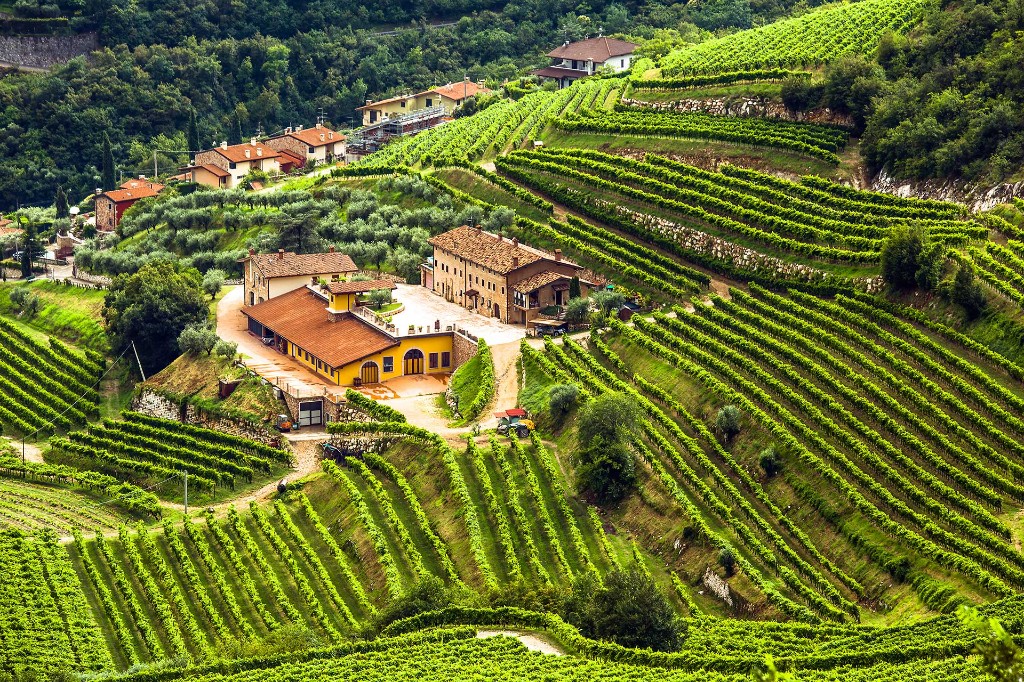 Cantina e vigneti terrazzati in Valpolicella, colline vitate e tetti in coppi